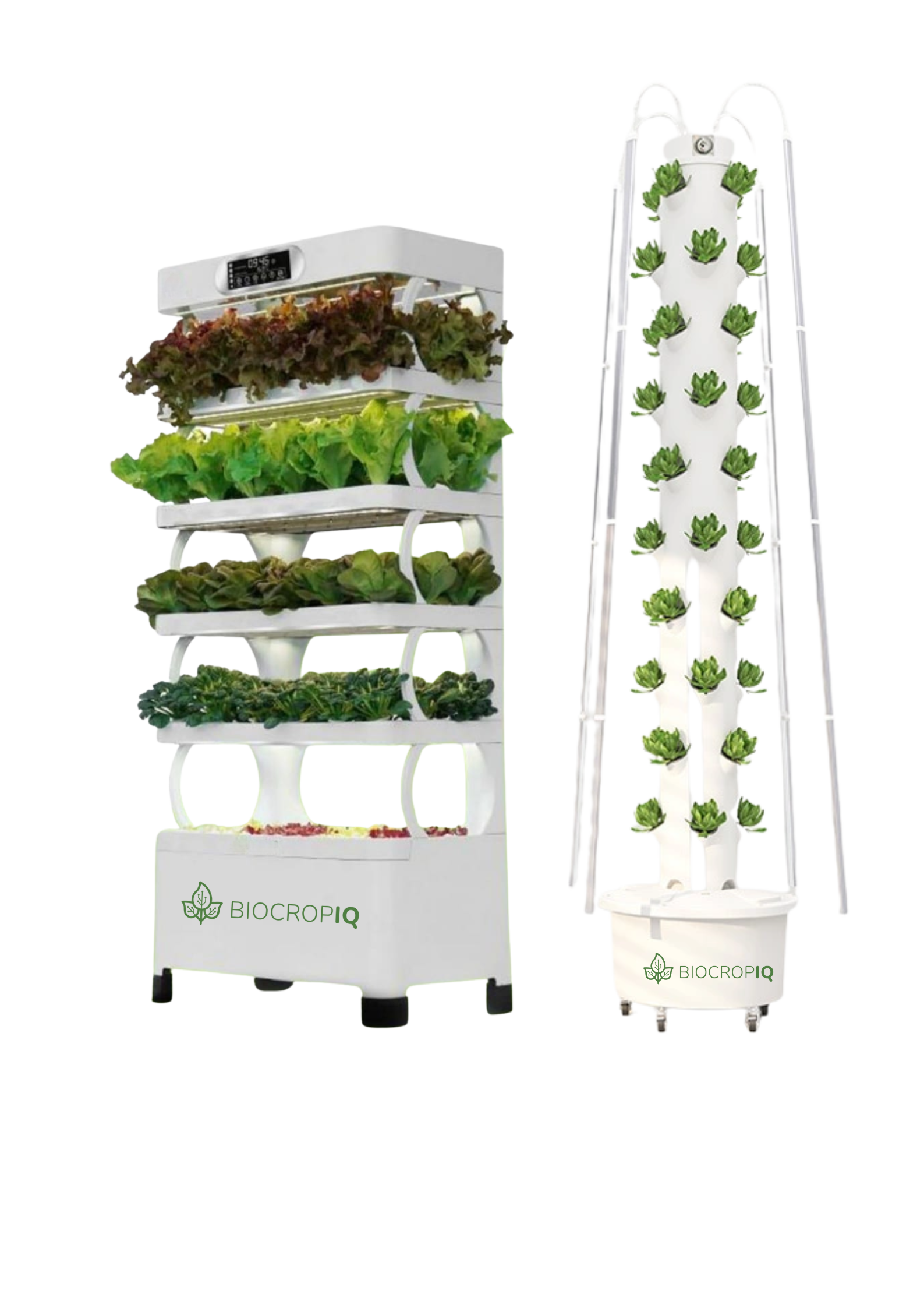 PF1.io: gestión de proyectos y ejecución tecnológica